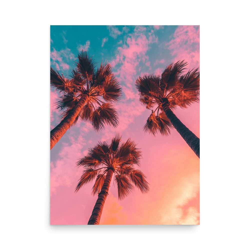 Pink Skies, Palm Highs